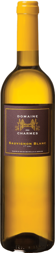 Domaine des Charmes Sauvignon Blanc 1er Cru Weiß 2023 75cl