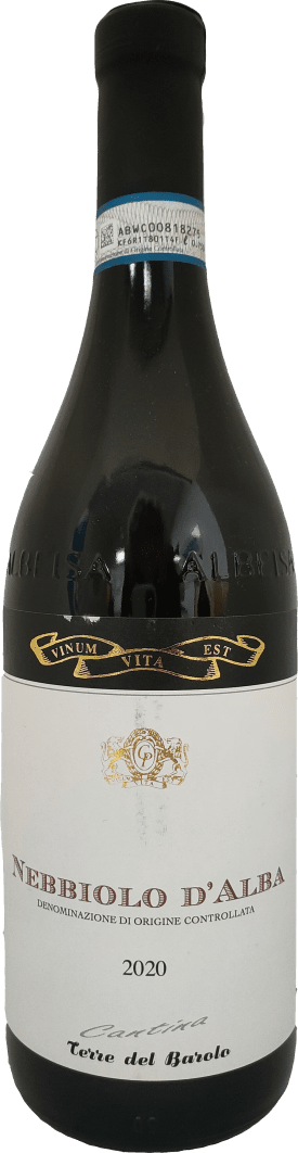 Terre del Barolo Nebbiolo d'Alba Rouges 2022 75cl