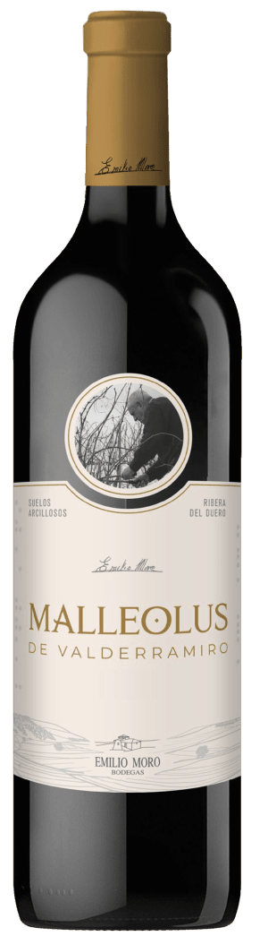 Emilio Moro Malleolus de Valderramiro Rouges 2021 75cl