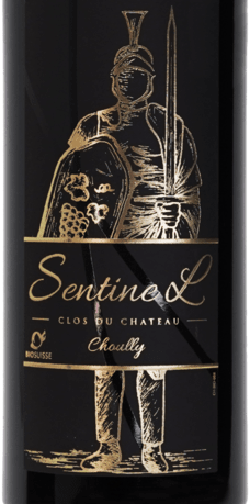 Domaine du Clos du Château SentineL - Assemblage Red 2022 75cl